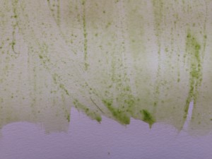 Veggies can make natural safe paint for kids kale