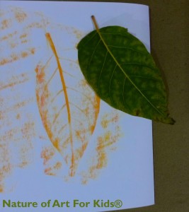 leaf rubbing crayon