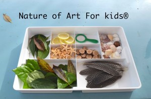 botany drawing lessons montessori kids homeschooling art project leaf, leaves, star fish, sea shells, feathers