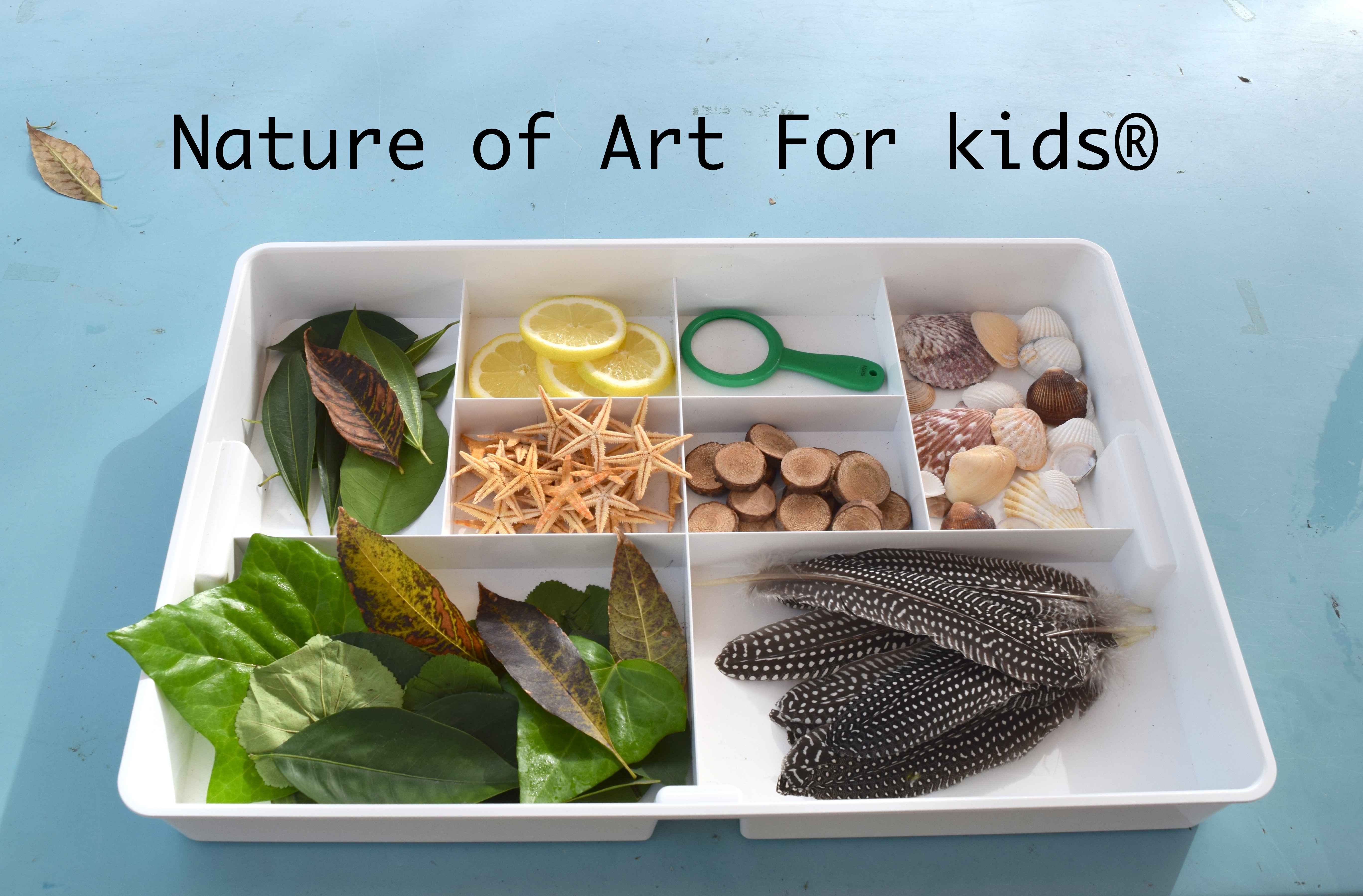 The BEST Art Supplies for Drawing  Kids art supplies, Nature drawing for  kids, Drawing games for kids