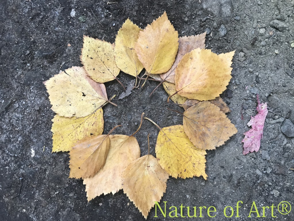 leaves in a concentric form, nature crafts with kids