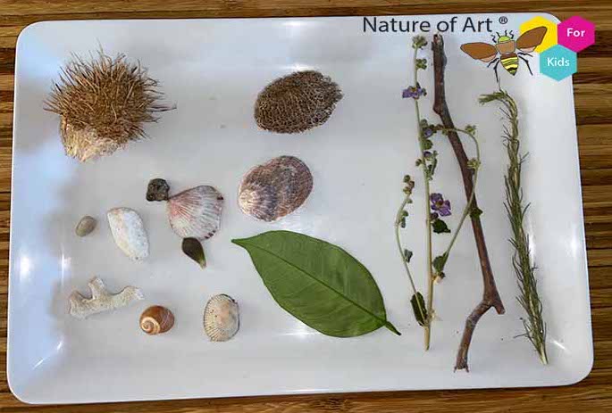 How-to Nature Journal with Kids Outdoors