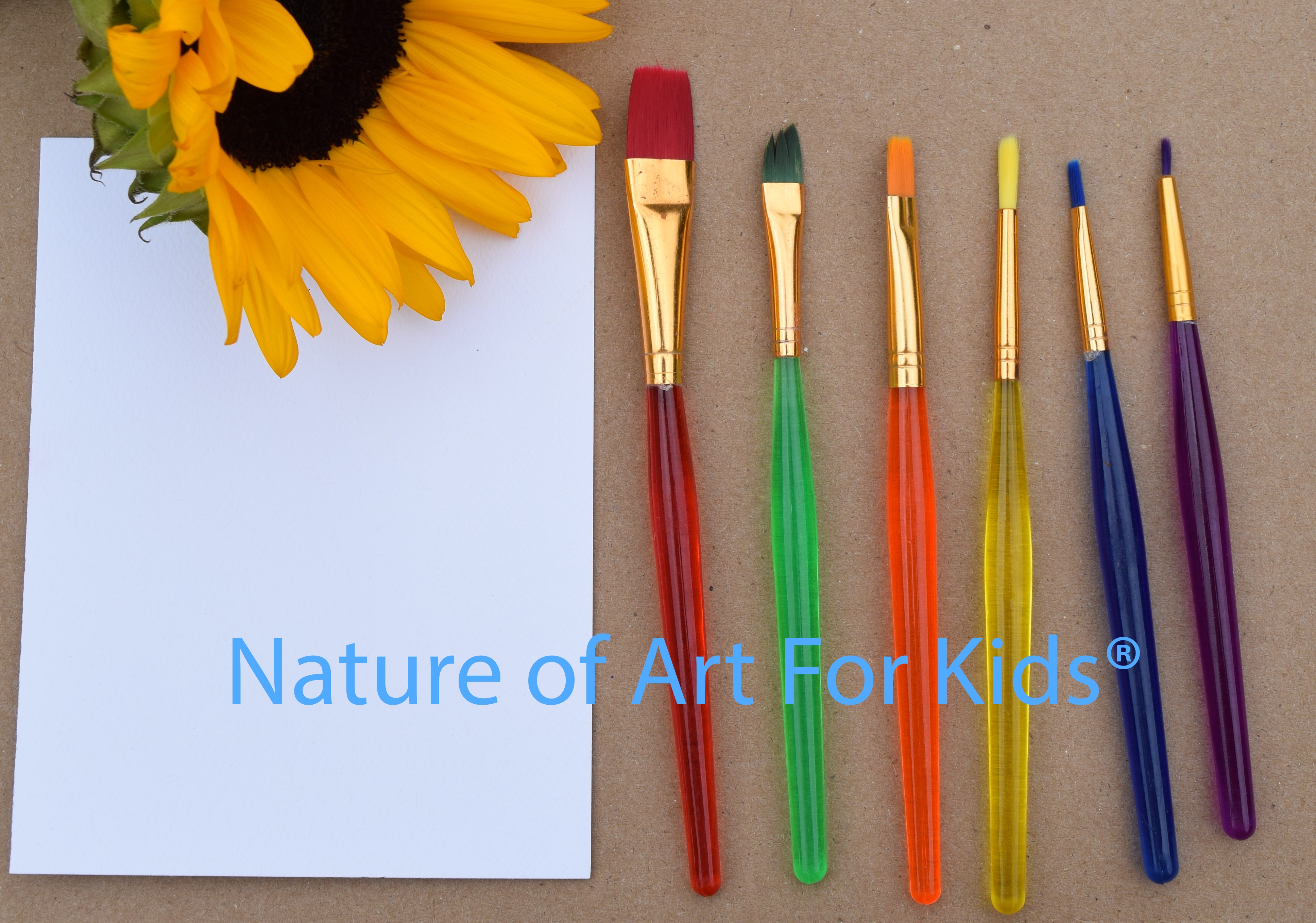 What Art Supplies For Beginner Children Should I Buy - Nature of Art®