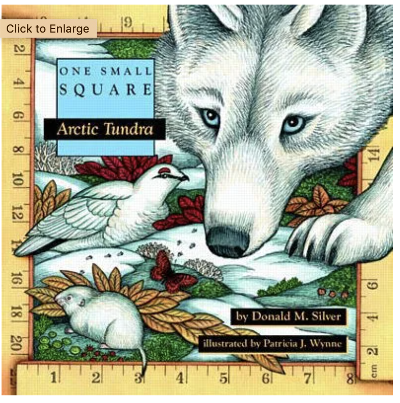 cool winter arctic tundra
